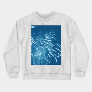 Juvenile fishes school Crewneck Sweatshirt